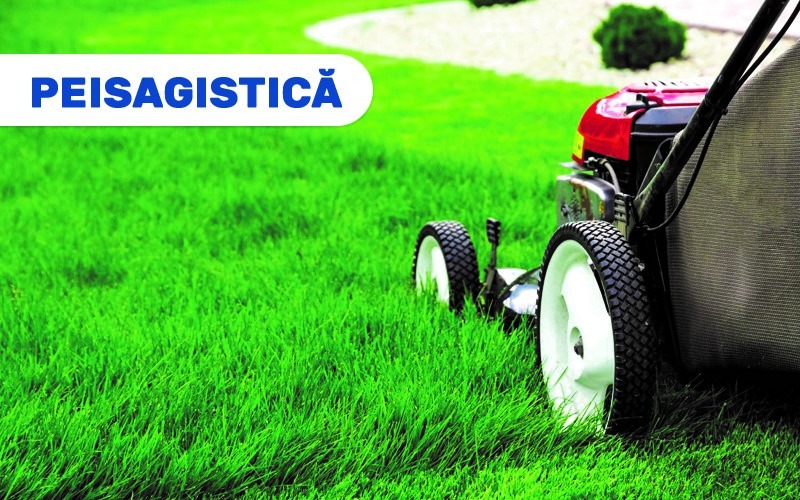 Peisagistică